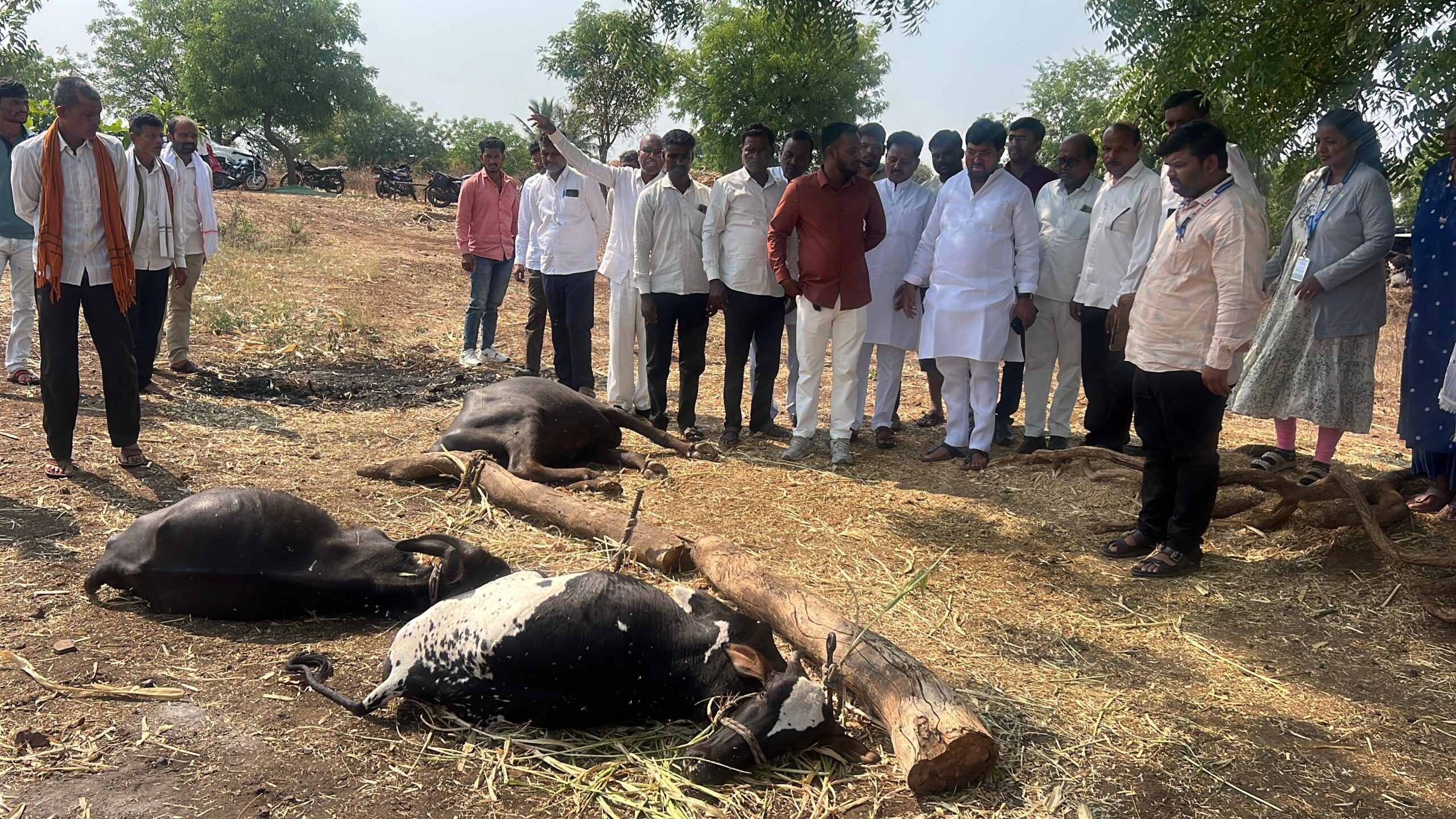 जालना मर्चंट बँकेची फसवणुक करणाऱ्या मुख्य आरोपींचे सहकारी 1) रामेश्वर जाधव  2) ज्ञानेश्वर जाधव 3) सुधाकर ठोंबरे सर्व भोकरदन यांना अटक,  आर्थिक गुन्हे शाखेची कामगीरी